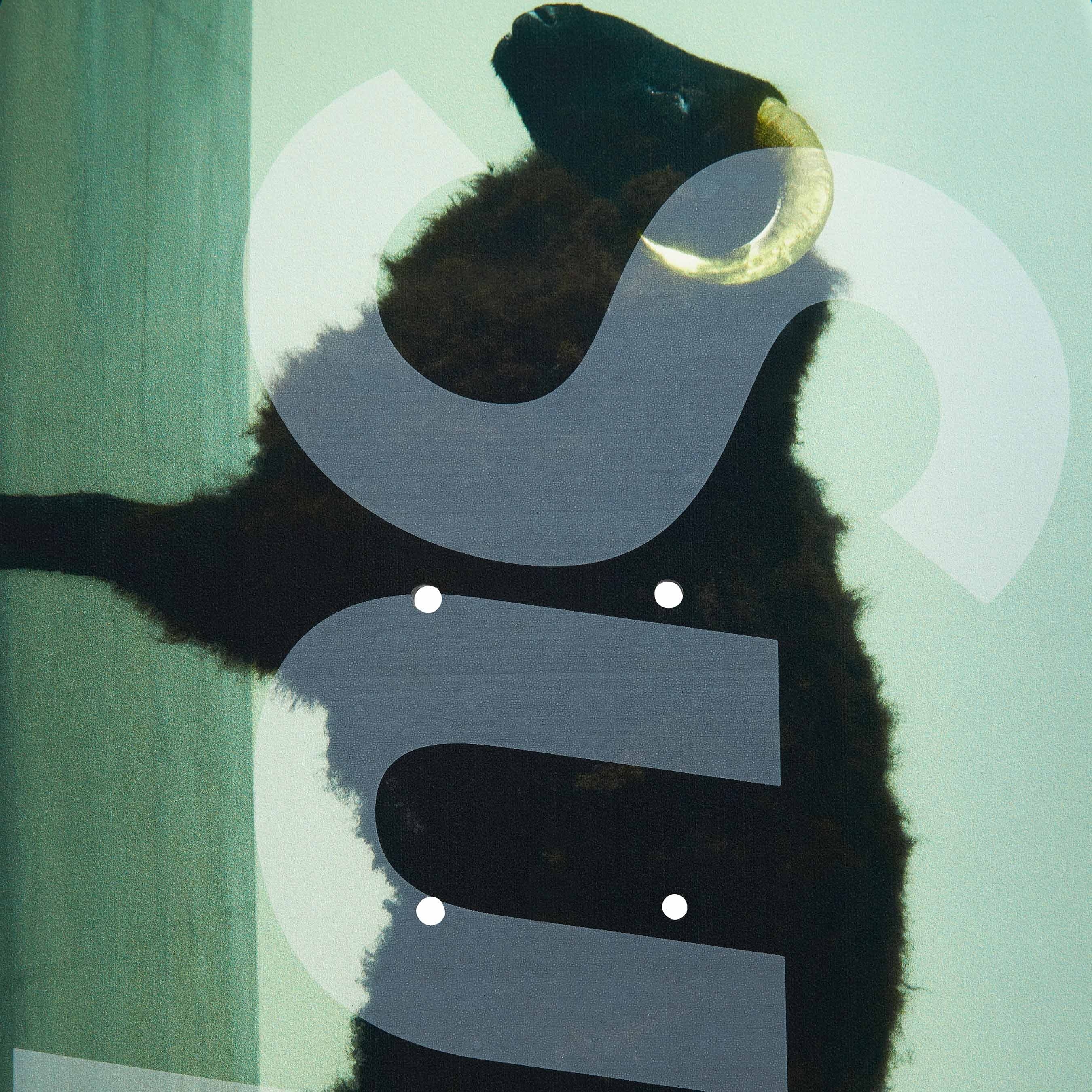 Supreme/Damien Hirst Sheep Skateboard view 3